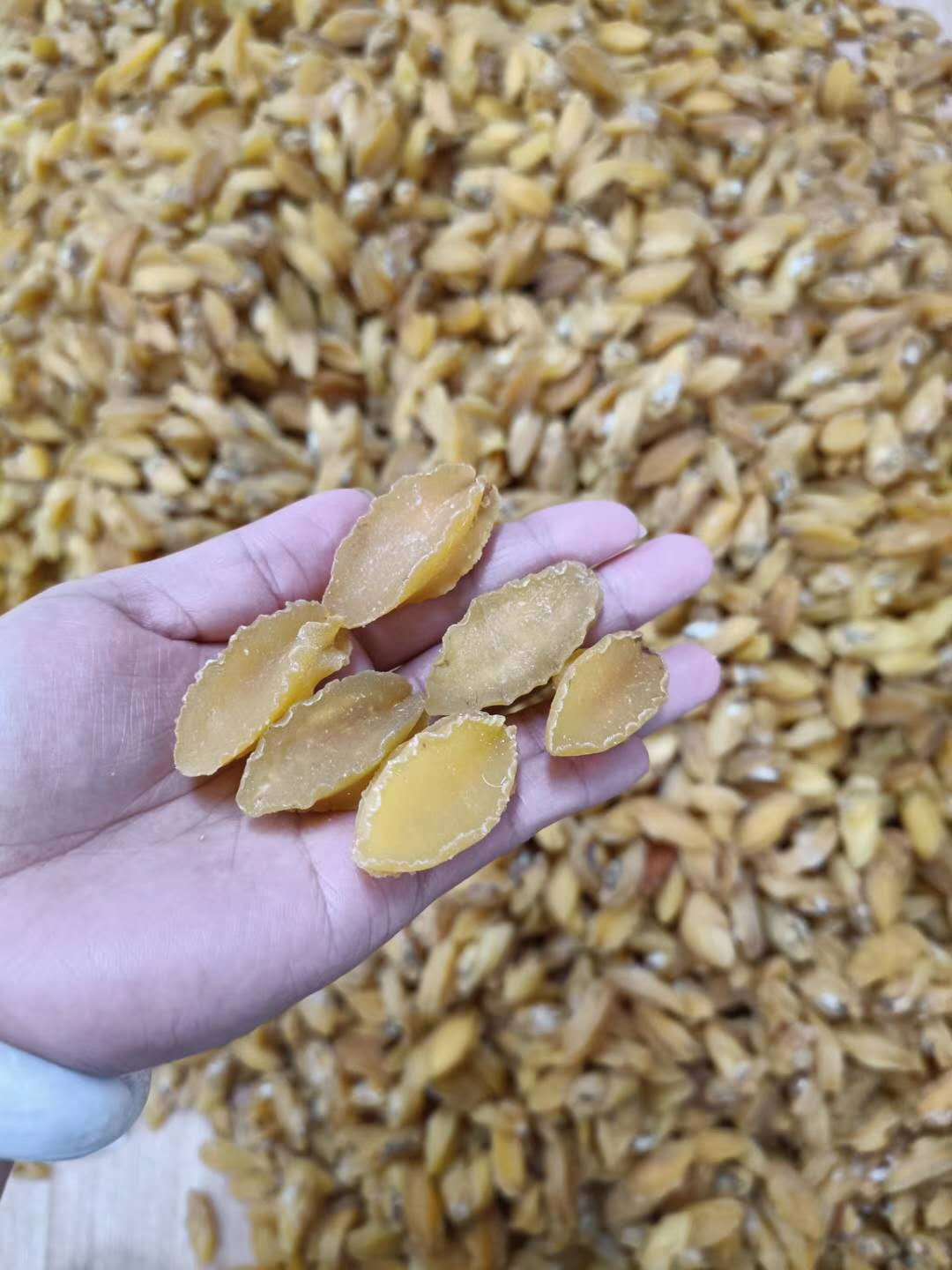 營養豐富，源頭直供——昌升新鮮金絲鮑魚與海味干貨批發