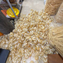 緬甸魚膠 海味干貨批發的珍寶