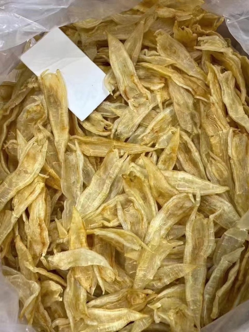 海味干貨批發指南 雙背膠清水貨魚膠、花膠金龍膠與北海赤鳘魚膠的甄選之道