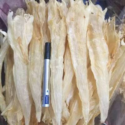 老友記海味藥材商行 一站式海產與藥材干貨采購殿堂